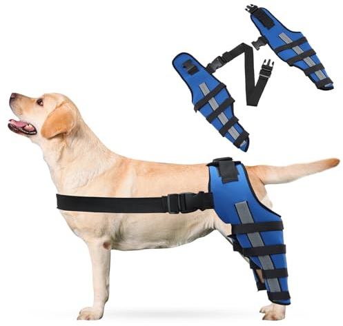 PETCUTE Rodillera Ajustable para Perros con Banda Reflectante -Condroprotector Perros, Soporte Terapéutico para Patas Traseras, Alivio de Dolor Articular y Muscular-S(Azul)