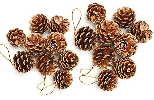 18 Natural Pine Cones, Golden Pinecone Christmas Tree Hanging Ornament for Wreaths, Garlands, Dried Floral Arrangements, Gift Tags
