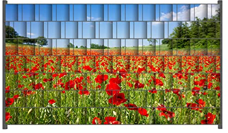 Wallario Zaun Sichtschutz Windschutz für EIN- und Doppelstabmattenzäune in der Größe Breite 2,50m x Höhe 1,40m, Motiv: Mohnblumenfeld- rote Blumen unter blauem Himmel