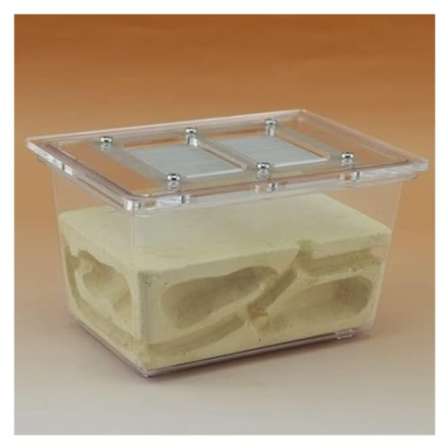 Ameisenfarm Nistkasten, Ant Castle Research Ecosystem Ant Farm Kleine Tetraedrische Ant Farm 5,1x3,5x3,1 Zoll Ant Nest Farm Ameisenhaus