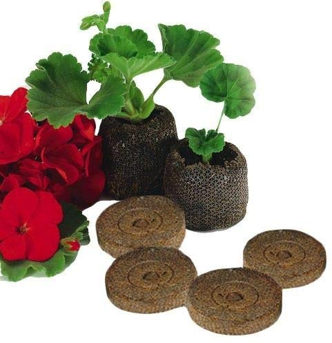 Portal Cool Seeds: 100 X Jiffy 7 24Mm Peat Plug Propergation Pellets
