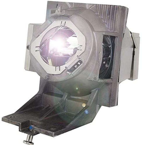 Générique Huaute RLC-117 - Proyector para proyector Viewsonic PG705HD / PG705WU / PX727-4K / PX747-4K / PX727 4K / PX747 4K / PX7274K / PX7474K