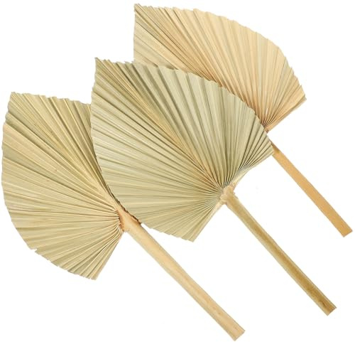 Toddmomy Hojas de Palma Secas Hojas Naturales de Palma 3 Piezas para Decoración de Pared y Bodas para Adornos y Arreglos en Exteriores