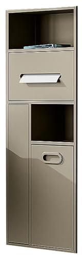 HJLKDYM Niche Encastrée en Acier Inoxydable, Support De Poubelle pour Papier Toilette, Étagère De Douche, pour Salon, Cuisine, Salle De Bain, Porte-Rouleau De Papier(Beige,30x78cm)