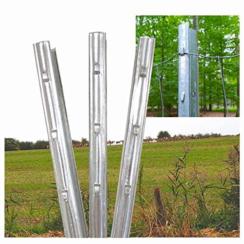 TRUTZHOLM® Z-Profil Zaunpfosten 2,15 m 10x verzinkt hochwertige Zaunpfähle inkl. Haken | Metallzaunpfosten für Wildzaun Weidezaun Drahtzaun Wildschutzzaun Knotengeflecht Zaun Forstprofil Forstzaun