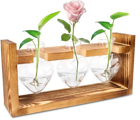 Glas Propagation Station für Pflanzen,Ableger Pflanzen Glas mit Holzständer,Vintage Kleine Vasen Für Tischdeko,Modern Vasen für HydrokulturPflanzen,Reagenzgläser Blumenvase für Home Wohnzimmer Büro
