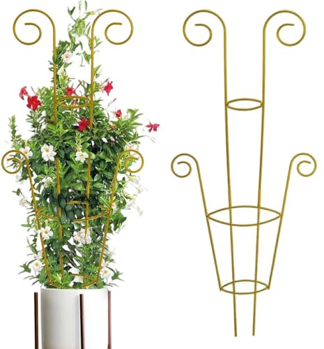 Enrejado Para Las Plantas Trepadoras De Interior Soporte De Metal Para | Enrejado Soporte Monstera Para Balcón Y Terraza Potos Monstera Hiedra Clemátide Trepadora Y Jardineros