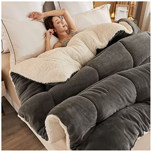 ZTGL Edredón De Algodón De Invierno - Edredón De Invierno De Terciopelo De Cordero, Núcleo De Cachemir, Súper Suave Manta De Cachemir De Cordero para Cama Doble,A,220x240cm/5kg