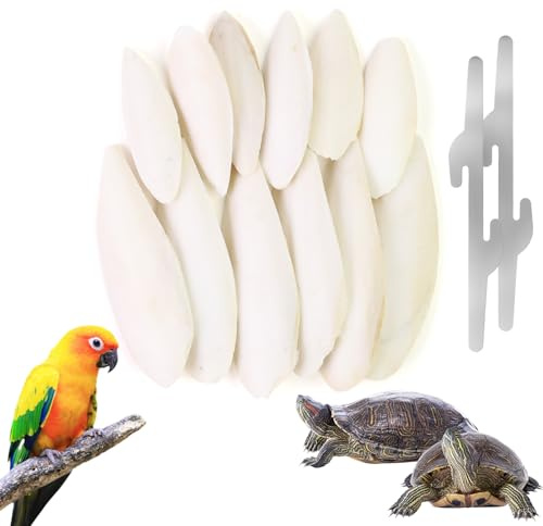 12 Stück Sepiaschalen für Schildkröten,7-9 cm/11-13 cm | Sepiaschale für Vögel für Schildkröten mit 2 Metallklammern Epiaschale für Vogelkäfige,Ergänzung von Kalzium und Mineralien
