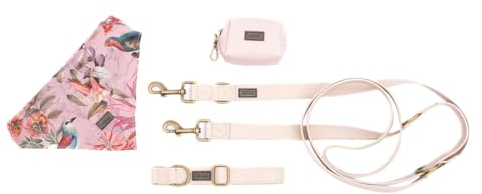 bo&flash Hundeleinen Set Charleston für große Hunde – Bequemes Hundehalsband mit 2,5 m Leine – 4 tlgs. Set aus veganem Leder mit verstellbarem Halsband und charmantem Halstuch – Elodie – L