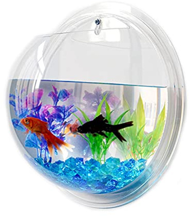 Kisangel Wall Fish Tank Hanging Aquarium Bowl Round Acrylic Fish Bowl 17 cm Diameter Easy Mounted Home Decoration for Betta Plants Flowers Random Color
