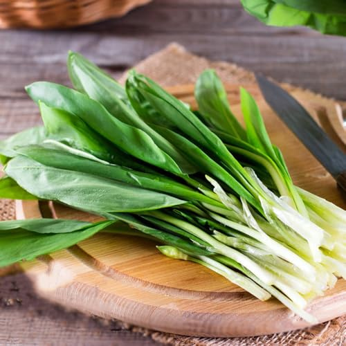 Semillas de ajo silvestre, jardín orgánicas semillas de productos sostenibles variedades antiguas 100pcs
