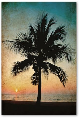 Postereck - 0804 - Vintage Palme, Sonnenuntergang Meer Urlaub Strand - Wandposter Fotoposter Bilder Wandbild Wandbilder - Poster - 3:2-91,0 cm x 61,0 cm