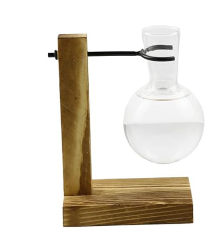usefulbeauty Pflanzenverbreitungsgläser, Pflanzenvermehrung Station | Testrohrhydropon -Rack -Propagat -Pflanzenhalter Holzständer ausbreitende Station,Blumenregalhydroponischer Behälter Vase -Gläser