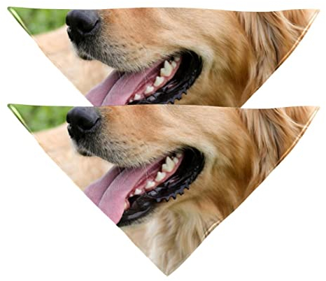 Hundehalstücher, 2er-Pack Haustierschal, Haustierzubehör, süße Welpenhalstücher,Schönes Golden Retriever Tier