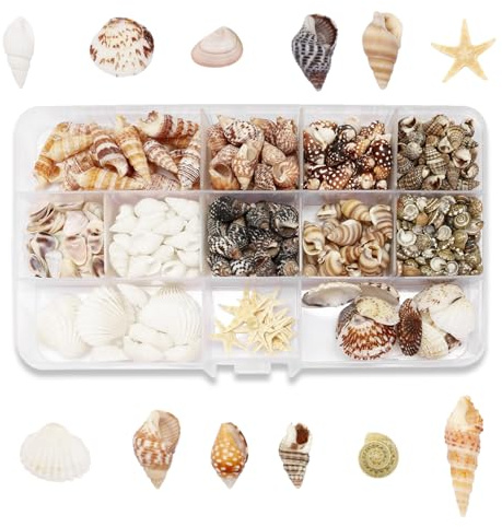 425 Stück Muscheln Gemischt, 11 Arten Ozean Muscheln und 2 Arten Seesterne 0.5-2cm, Mini Starfis für Malerei Kunst, Vase Füllstoffe, Strand Thema Party Hochzeit Dekor, DIY Kunsthandwerk, Fisch Panzer