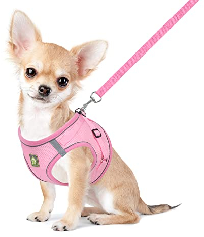 FEimaX Dog Harness and Leash Set for Small Medium Dog Cat No Pull Adjustable Soft Mesh Chihuahua Chest Harness Puppy Reflective Step-in Safety Vest for Outdoor Walking