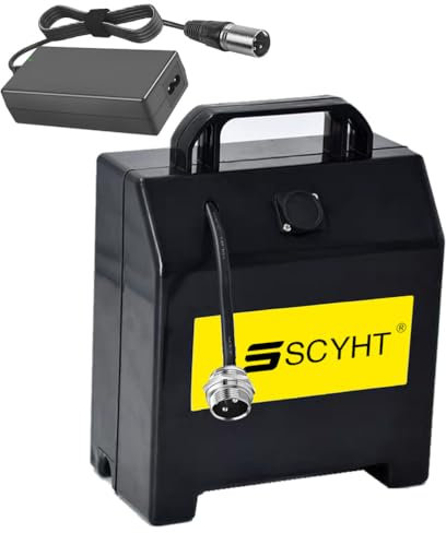 SSCYHT Batería Silla Ruedas eléctrica 24 V, 12 Ah, 20 Ah, 30 Ah, 32 Ah y 15 Ah Batería Litio 24 V Baterías Recargables para Motores 200 W a 800 W con Cargador,24v32ah gx20 Male