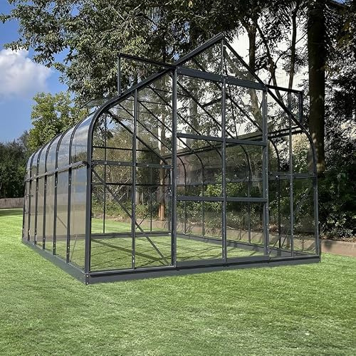 Green Protect Serre de Jardin en Aluminium Anthracite 300x364cm 260cm de Hauteur 432kg avec Double Porte Coulissante en Verre Trempé 4mm