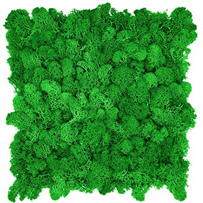 GJS Moos-Platten aus echtem Islandmoos – selbstklebende Wand- & Akustikpaneele für Bilder, künstliche Pflanzenwände, Fake Green Walls Matten & natürliche Deko/Basteln (25 × 25 cm, laubgrün)