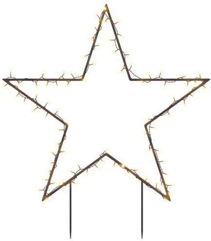 vidaXL Weihnachtsstern, Weihnachtsbeleuchtung mit Erdspießen 80 LEDs, Gartenstecker Stern Beleuchtet 8 Modi, Wasserdicht Weihnachtsdeko Leuchtstern, 60 cm