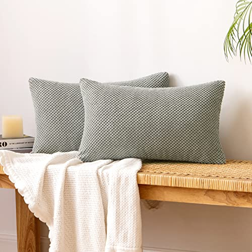 EMEMA Kordsamt Kissenbezug Dekorative Granulat Sofakissen Dekokissen Kissenbezüge Kissenhülle Couchkissen Überwurf Kissen Bezug Zierkissen für Couch Sofa Wohnzimmer 2er Set 30x50 cm Hellgrau