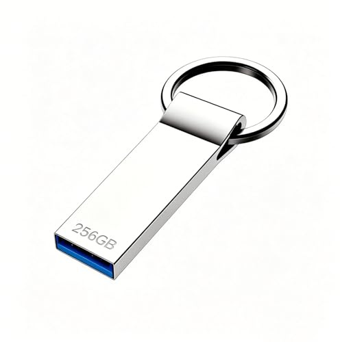 VAIILU Chiavetta USB 256GB, Alta Capacità Pen Drive Impermeabile Pendrive Portable Pennetta USB Archiviazione Dati per Laptop, Computer, Desktop, PC