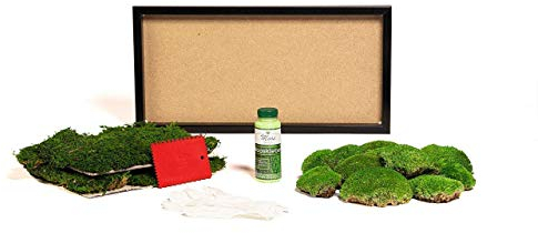 DIY Moosbild selber Machen, Wandbilder selber kleben, Moosbilder selber gestalten, Do it Yourself Set Moos kleben Wanddeko selbst herstellen in versch. Maßen