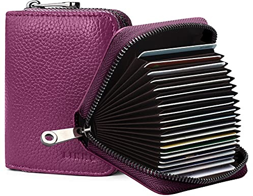 Goopai Porte-cartes RFID avec 20 compartiments pour cartes de crédit en cuir véritable - Portefeuille à accordéon pour femme ou homme avec fermeture éclair, Violet, s, Classique