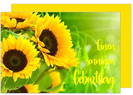 Edition Seidel Premium Geburtstagskarte mit Umschlag. Glückwunschkarte Grusskarte Billet Happy Birthday Mann Frau Einen sonnigen Geburtstag Sonnenblumen Blume Karte (G2794 SW023)