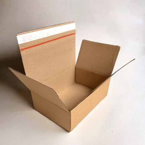 Versandkarton 100 Stück Automatikboden Karton 230x160x80mm Fix Aufrichtekarton Versandschachtel Versandkarton klein Versandverpackung Automatikkarton