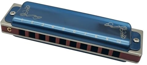 mundharmonika anfänger 10-Loch-Blues-Mundharmonika Diatonische Blues-Mundharmonika Mit Koffer/professionellere Mundharmonika Für Anfänger Und Erwachsene(Blue)
