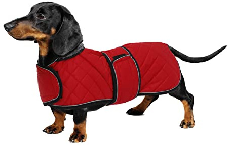 Geyecete Abrigo térmico de Invierno para Perro Salchicha,con Forro Polar cálido,Impermeable Ropa al Aire Libre con Bandas Ajustables e Agujero del arnés,para medianos/pequeña Perros - Rojo-M