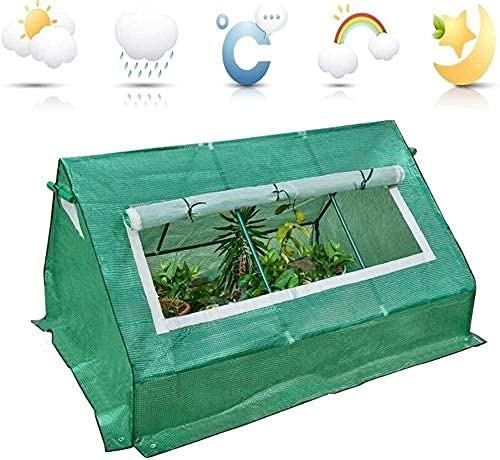 LSDRALOBBEB Tomatenhaus Gewächshaus Mini-Gewächshaus Multifunktion für Outdoor-Pflanzen Blumen Sukkulenten 806(Color:Green;Size:180x142x97cm)