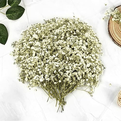 145 Stück Trockenblumen, Natürliche Getrocknete Blumen, Gepresste Blumen, Schleierkraut Getrocknet für Epoxidharz, Scrapbook, Nagelkunst, Fotorahmen, Handwerk Karten Machen