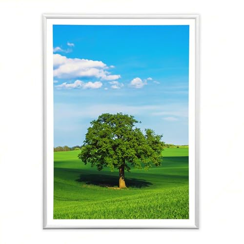 Sicignano | Cornice Bombata Moderna 40x50 cm in Legno Bianco con Pannello MDF Robusto Vetro Crilex - Portafoto da Parete Orizzontale Verticale, per Foto Quadri Poster Documenti Diploma Laurea