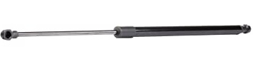 RIDEX 219G0729 Ammortizatore pneumatico Cofano bagagli/vano carico Compatibilità con RENAULT MODUS/GRAND MODUS F/JP0