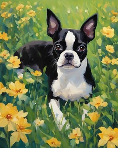 ZMHZMY Malen nach Zahlen Erwachsene,Boston Terrier Hund,Blumenwiese DIY Handgemalt Ölgemälde Kits auf Leinwand Geschenk für Weihnachten Geburtstag Home Haus Deko - Ohne Rahmen