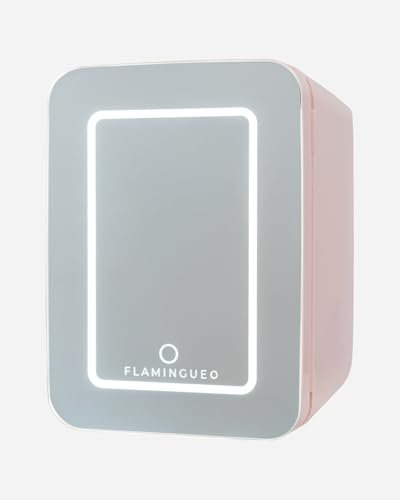 Flamingueo Nevera Pequeña 10L - Mini Nevera Espejo y Luz LED, Nevera 12V/220V, Función Frío y Calor, Nevera Cosmeticos, Nevera Skincare, Mini Fridge