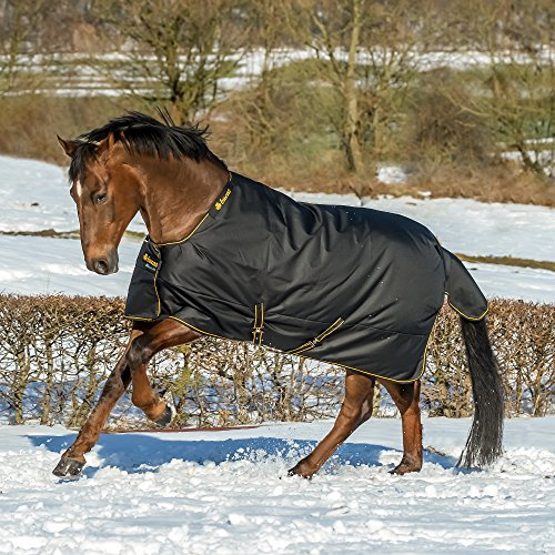 Bucas Irish Turnout 150g Größe 145, Black/Gold