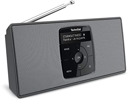 TechniSat DIGITRADIO 2 S - Tragbares DAB Stereo-Radio mit Akku (DAB+, UKW, Bluetooth Audiostreaming, OLED Display, Kopfhöreranschluss, Stereo 2 W RMS) schwarz/silber