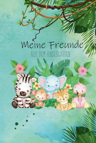 Meine Freunde: AUS DEM KINDERGARTEN (Freundebücher)