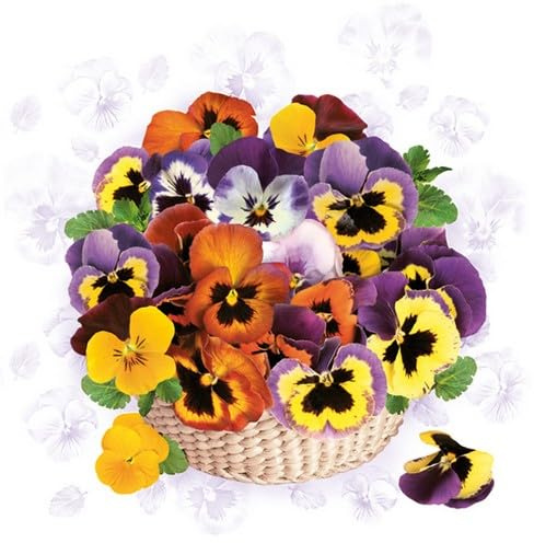 20 Servietten Blumen, Garten & Natur Stiefmütterchen im Körbchen als Tischdeko. Papierservietten mit Motiv. Auch für Decoupage und Serviettentechnik 33x33cm