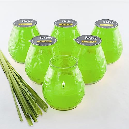 HOFER 6 x Bistro-Licht Citronella grün | Windlicht Outdoor | Hochwertige Citronella Kerze im Glas mit Citronella-Duft | Outdoor Kerzen für Gartenparty | Deko für draußen