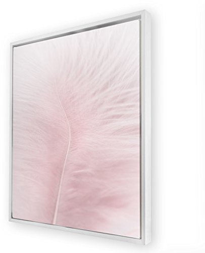 Bildershop-24 Schattenfugenrahmen Set Hamburg Weiß (matt) mit Keilrahmen Leinwand Bild Druck Motiv: Feder Rosa 4 61x91cm