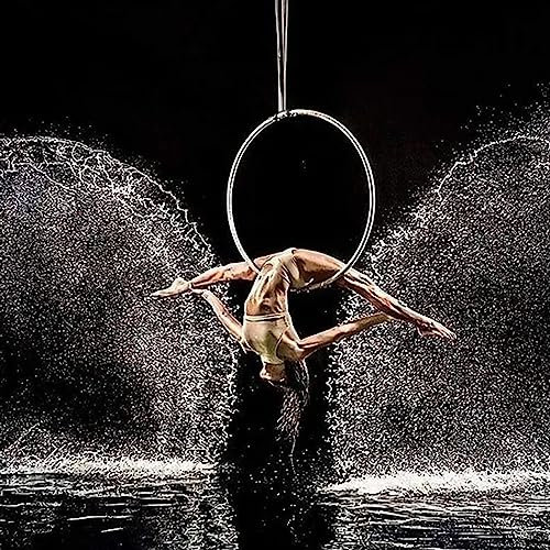 Professioneller Aerial Hoop Yoga Swivel Lyra Hoop Ring für Zuhause/Bar/Fitnessstudio – Edelstahl Tanzstange für Indoor/Outdoor Performance