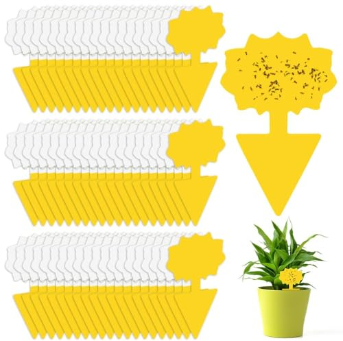 Flintronic Pièges à Insectes, 66PC Attrape Moucheron Plantes, Plug-in Pièges à Insectes Pièges Engluées Autocollants Colle Double sans Insecticide, Anti Moucheron Plante pour Plante Fleur Fruits