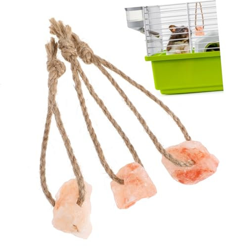 YARNOW 3stücke Salz Kaninchen Nährstoff-backenzahnspielzeug Für Haustiere Kauspielzeug Mit Seil Für Eichhörnchen Leicht Zu Absorbieren