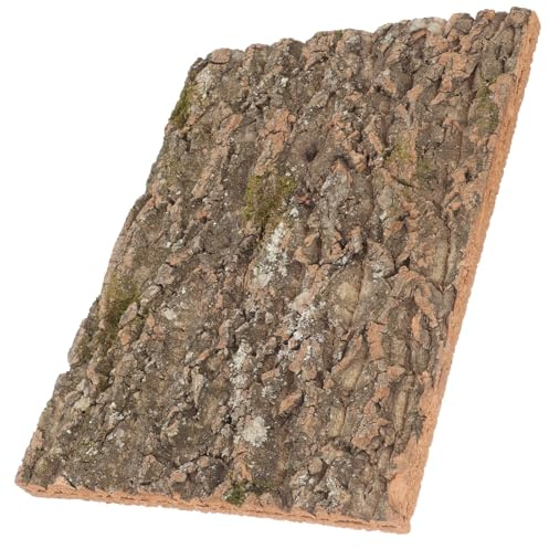 JECOMPRIS Kork Korkrinden Kletterplattform Dekor Reptilien für Terrarien | Äste Terrarium, Kaffeefarbene Oberfläche, Harte Struktur, Schmutzabweisend, für Schildkröten und Reptilien