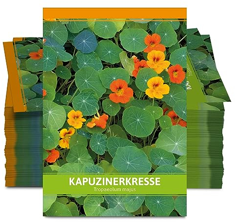 FLORTUS Kapuzinerkresse Samen für Gastgeschenke (100 Stück) | Kleine Geschenktüten essbare Blüten als Dankeschön Geschenke & Werbegeschenke | Kräutersamen für essbare Blumen Heilpflanzen